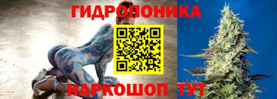 гидропоника Кинель
