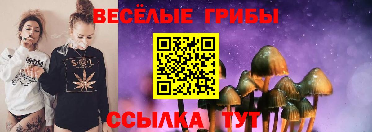 Галлюциногенные грибы GOLDEN TEACHER  Вход с VPN  Псилоцибиновые грибы мицелий  Арсеньев 